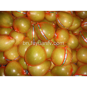 ভাল স্বাদ সঙ্গে Hotsale টাটকা Pomelo